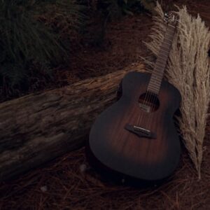 Mediterranean Guitar Case